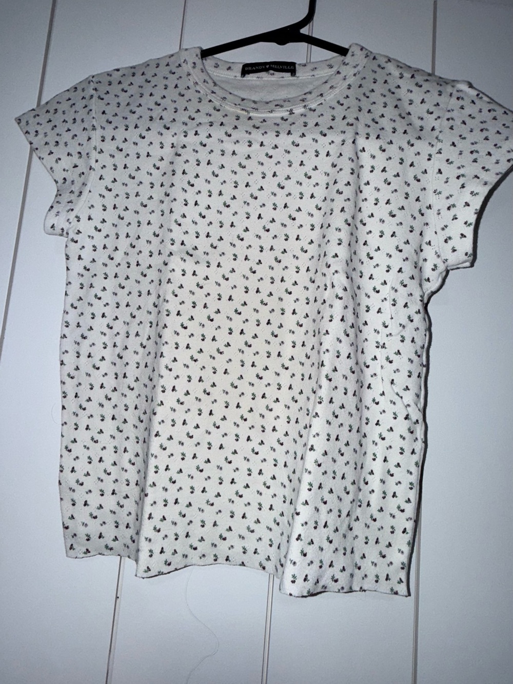 Brandy Melville White Tee with Purple & Green Floral Print